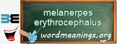 WordMeaning blackboard for melanerpes erythrocephalus